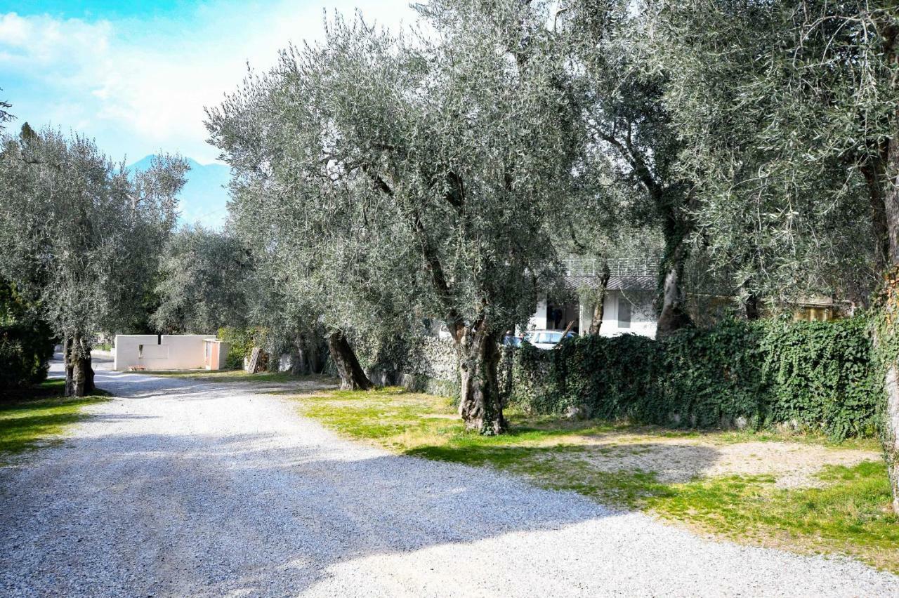 Residence Kormorano Malcesine Lake View Екстериор снимка